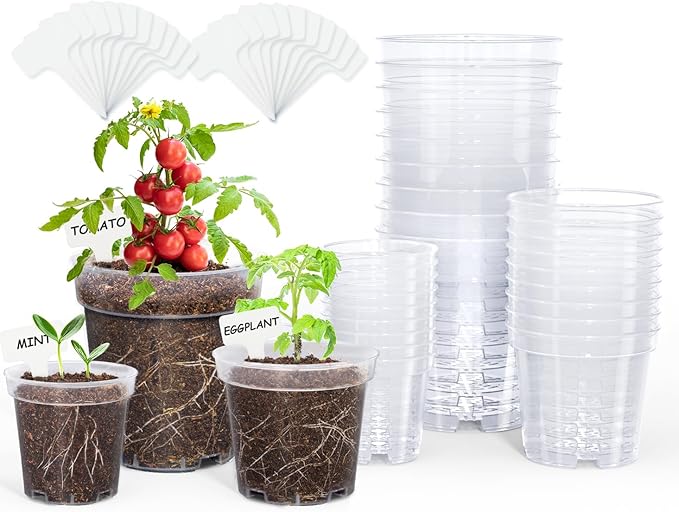 homenote Clear Nursery Pots for Plants,4 Inch Plant Pot for Planting Plastic Seedling with Drainage Holes Seed Starter Flower High Transparency 20 Labels Exclusive Material Excellent Hardness(30 Pack)