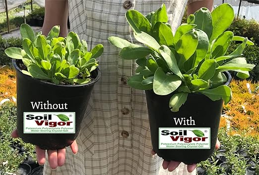 Potassium Polyacrylate Super Absorbent Polymer 1 Pound