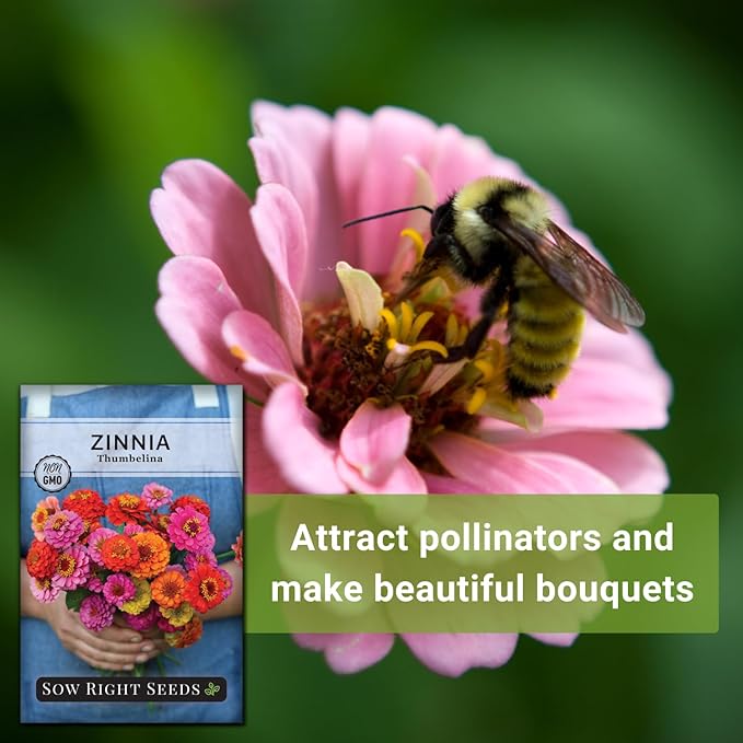 Sow Right Seeds - Thumbelina Zinnia Seeds for Planting - Beautiful to Plant in Your Flower Garden - Non-GMO Heirloom Packet with Instructions - Annual Cut and Come Again for Bouquets (1)
