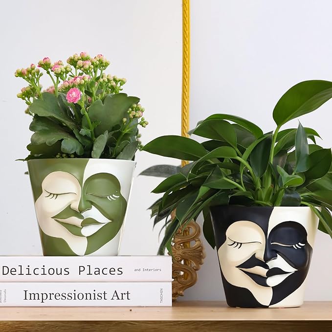 GUGUGO Face Planters Pots with Drainage, Flower Plant Pots for Indoor Plants, Unique Funny Small Succulent Desk Vase for Plant Lover Gifts (Bicolor-Black & White, 5.5Inch)