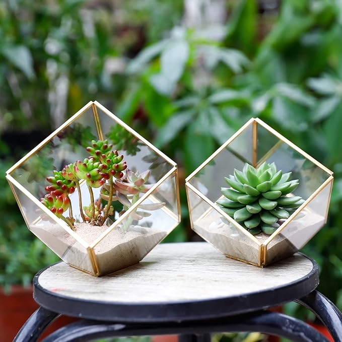 Glass Geometric Plant Terrarium,Succulent & Air Planter for Home Garden Office Decoration(Gold Cubic Set of 2)