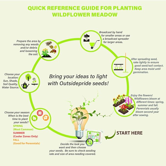 Outsidepride 1/4 lb. Perennial Blue Lupine Flower Seeds for Planting