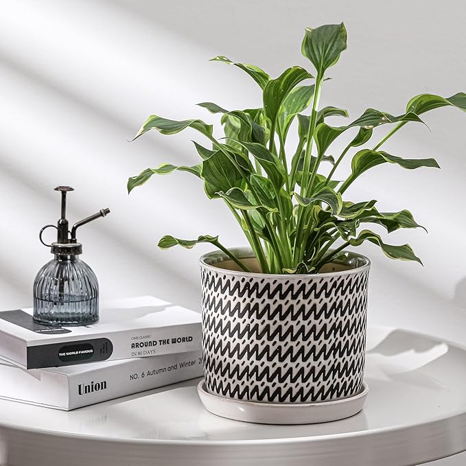 8 Inch Plant Pot: Ceramic Planter with Drainage Hole & Saucer for Indoor Outdoor Plants - Flowerpot with Bonded Tray for Home Office - Wave Stripe Debossed