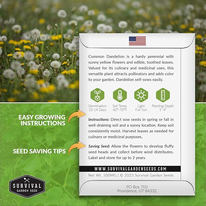 Survival Garden Seeds Common Dandelion Seed - 2 Packs with Instructions to Plant & Grow Nutritious Medicinal Plants & Leafy Greens in Your Home Herb or Vegetable Garden - Non-GMO Heirloom Variety