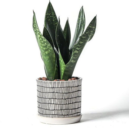 6 Inch Plant Pot: Ceramic Planter with Drainage Hole & Saucer - Cylinder Flowerpot for Indoor & Outdoor Plants - with Separate Tray for Home & Office - Striped Design
