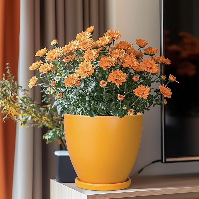 Ceramic Plant Pot - 8 Inch Planter for Indoor Outdoor Plants, Round Flower Pots with Drainage and Tray, Home Office Decor, Orange