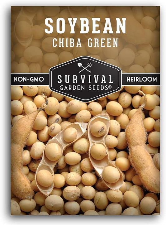 Survival Garden Seeds - Chiba Green Soybean Seed for Planting - Packet with Instructions to Plant and Grow Protein-Rich Edamame Pods in Your Home Vegetable Garden - Non-GMO Heirloom Variety