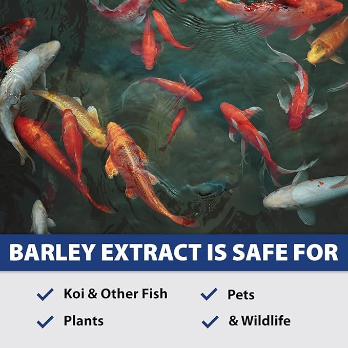 The Pond Guy Barley Extract Natural Liquid Treatment for Ponds and Water Gardens, Safe for Koi Fish and Plants, Natural Solutions for Clear Pond Water - 1 Gallon