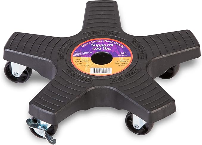 Bosmere Down Under Plant Caddie, Heavy Duty Plant Stand with Wheels, 500 lb Capacity, 14-Inch, Charcoal