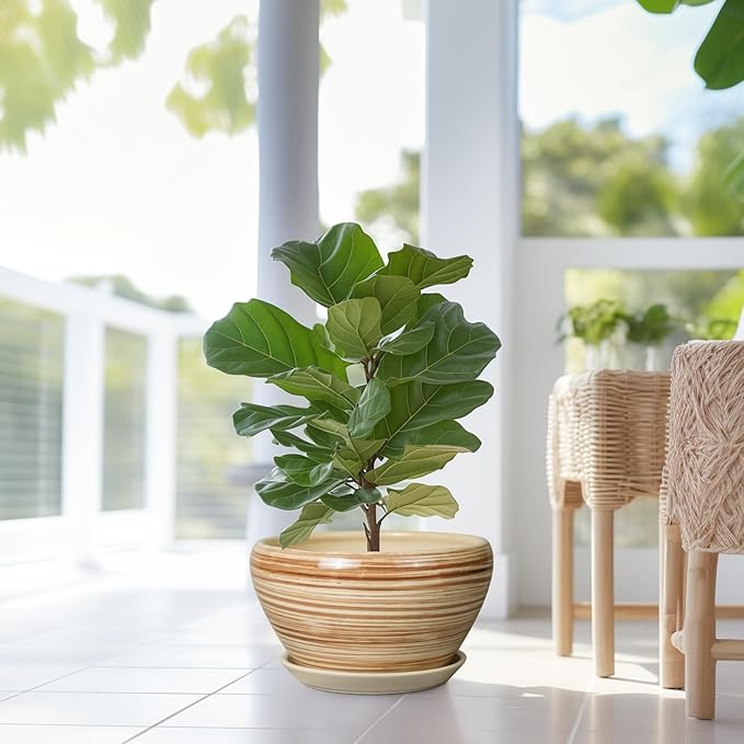 Ceramic Pot for Plants - 13 Inch Planter for Outdoor Plants Indoor Plant Pot with Drainage Hole and Saucer Large Planter Round Flower Pot for House Patio Garden Decor Yellow