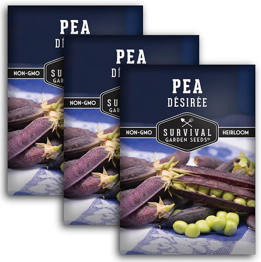 Desiree Pea Seed for Planting - 3 Packets with Instructions to Plant and Grow Delicious Purple-Podded Snap Peas in Your Home Vegetable Garden - Non-GMO Heirloom Variety - Survival Garden Seeds