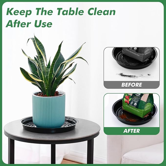 20 Pack 6 Inch Plant Saucer, Black Plant Saucers for Indoors No Holes, Plastic Plant Saucer for Plant Pots Plant Water Catcher Tray, Small Flower Pot Saucers Bulk Plant Drip Trays for Potted Plants