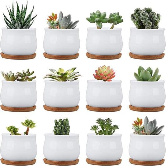 Succluent Pots ，Small Flower Pots Planter Pots with Drinage,Ceramic Flowers Pots with Bamboo Tray for Cactus(12 Pack