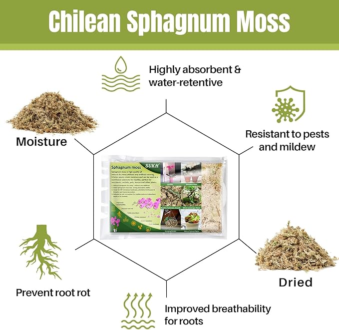 Sukh 10oz Sphagnum Moss for Plants - Sphagnum Peat Moss Natural Long Fibered Dried Moss Potting for Orchids Succulent Carnivorous Potted Plant Reptiles Medium Sarracenia DIY Moss Terrarium Decorations
