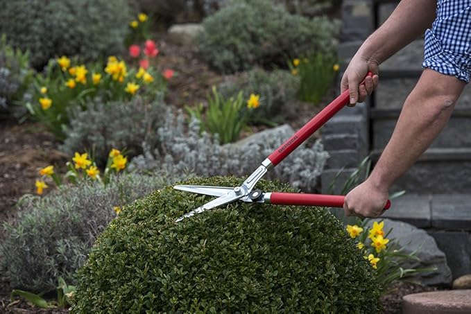 BERGER Boxwood Shears, Self-Sharpening Blade and Beech Wood Handles