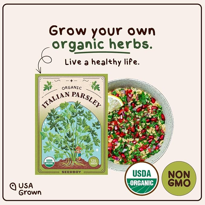 Organic Parsley Herb Seeds for Indoor Gardening or Planting Outdoors, Non-GMO and USDA Certified Herb Seed Packets, 125 Seeds/ 250mg (Italian Parsley)