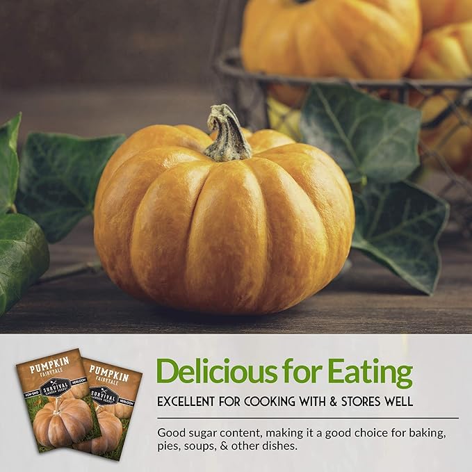 Survival Garden Seeds - Fairy Tale Pumpkin Seed for Planting - 2 Packs with Instructions to Plant and Grow Pumpkins in Your Home Vegetable Garden - Non-GMO Heirloom Variety