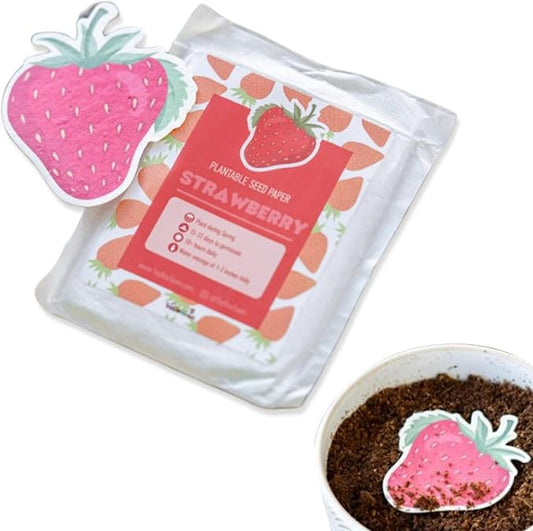 10 Pcs Plantable Seed Paper - Seed Paper Favors | Flower Seed Paper for Gardening, Crafting, Birthdays, Wedding Anniversaries | Indoor Flower Plantable Seeded Paper | Plantable Mini Seed Papers Set