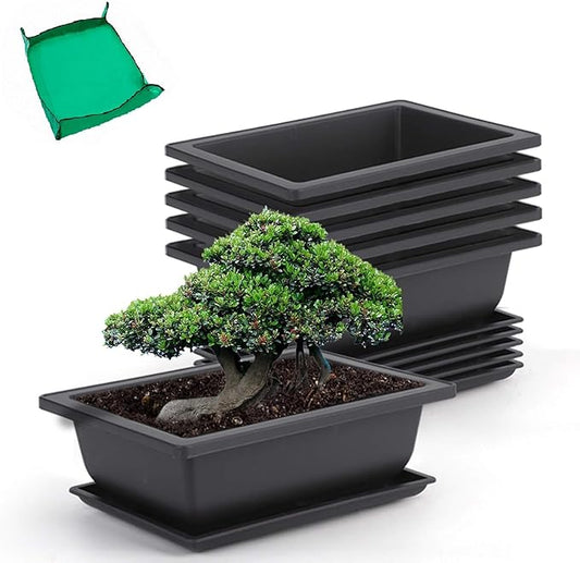 GROWNEER 6 Pack 9 Inch Bonsai Pots with Drainage Humidity Trays, Bonsai Tree Training Kits with 1 Repotting Mat, Plant Container Planter Growing Pot for Garden Outside Indoor