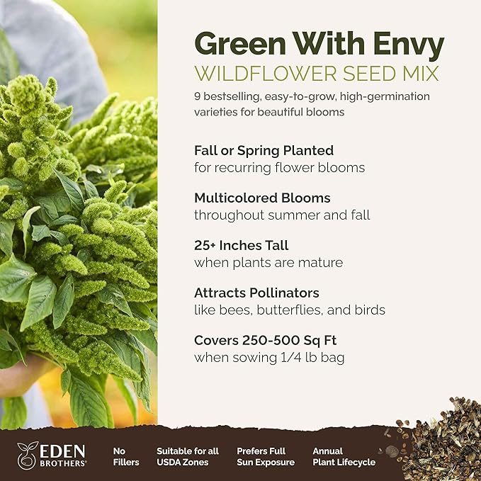 Eden Brothers Green with Envy Flower Mixed Seeds for Planting, 1/4 lb, 120,000+ Seeds with White Yarrow, Cornflower White | Attracts Pollinators, Plant in Spring or Fall, Zones 3, 4, 5, 6, 7, 8, 9, 10