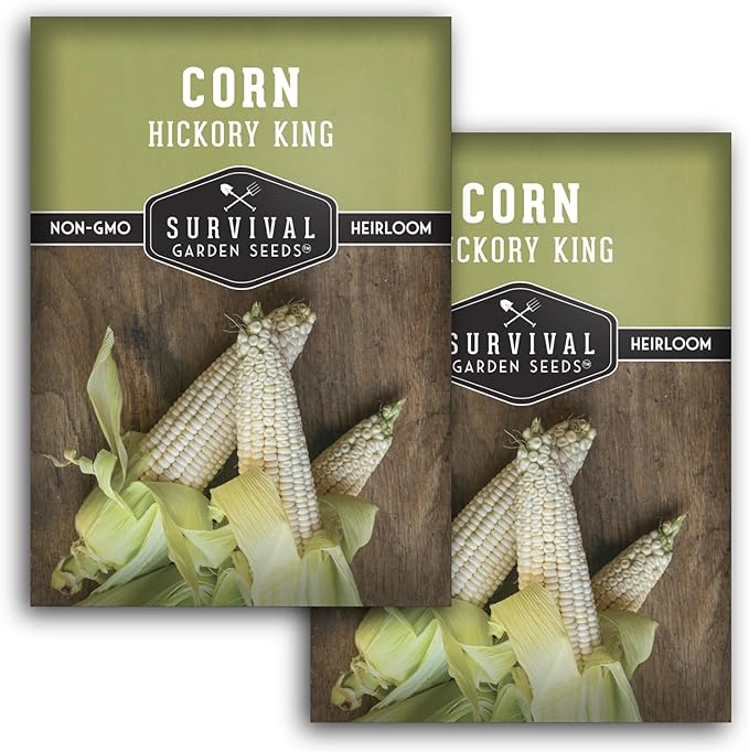Hickory King Corn Seed for Planting - 2 Packets with Instructions to Plant and Grow White Field or Dent Corn in Your Home Vegetable Garden - Non-GMO Heirloom Variety - Survival Garden Seeds