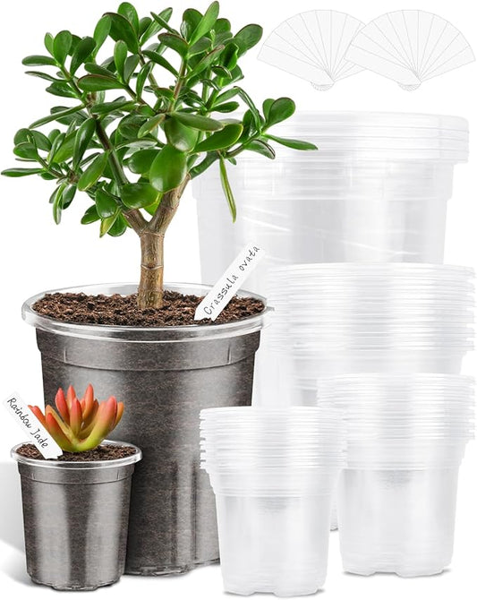PACETAP 40Pack 6.5/5/4/3.5 Inch Reinforced Clear Nursery Pots with Drainage Holes, Variety Pack Plastic Plant Pots with 20 Plant Labels for Indoor Outdoor Flower Seed Starter