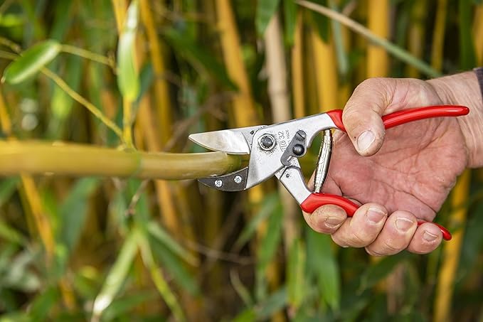 Felco Pruning Shears (F 32) - High Performance Swiss-Made One-Hand Garden Pruners
