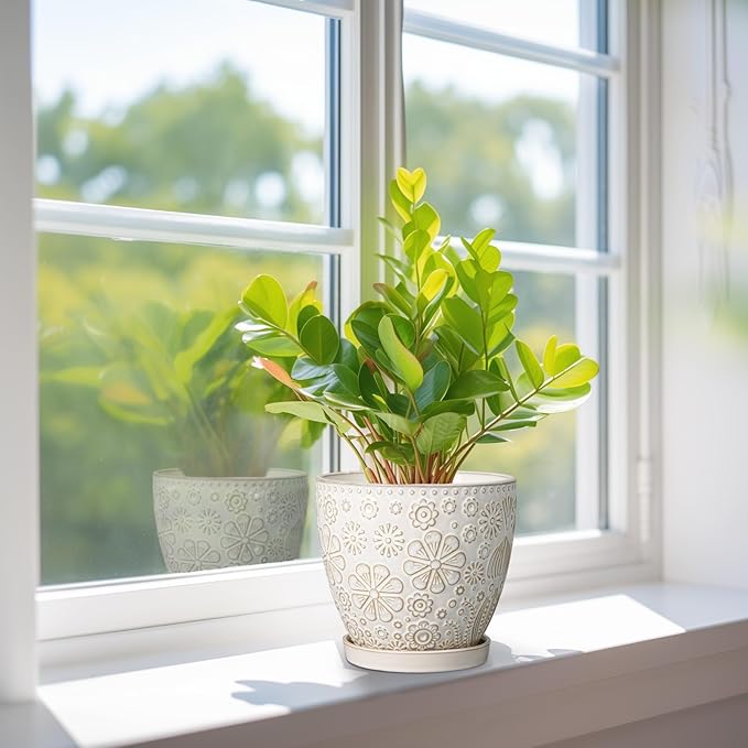 6 Inch Plant Pot with Drainage Hole and Saucer Ceramic Planter for Indoor Plant Flower Pot for Orchid Succulents Plants White