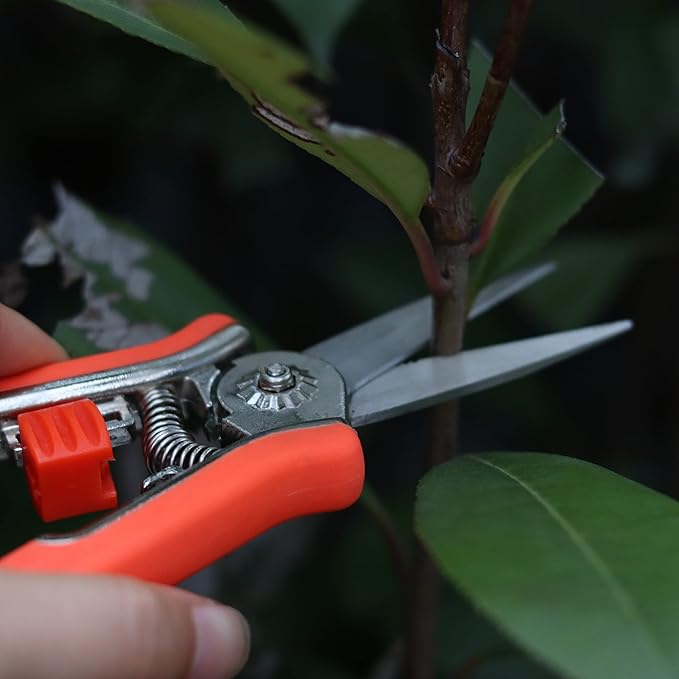 FLORA GUARD 6.5 Inch Micro-Tip Pruning snip Gardening Hand Pruning Shears Trimming Scissors with Stainless Steel(6 pieces