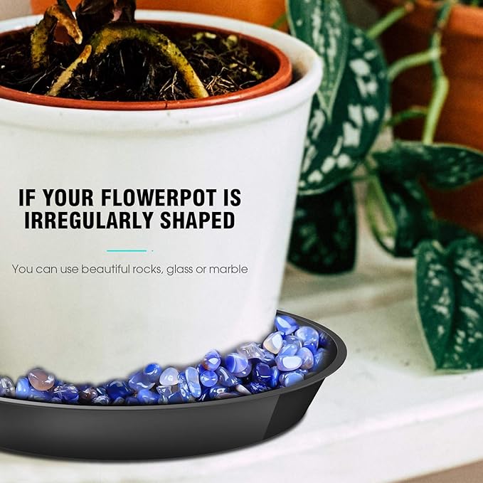 6 Pack Plant Saucer 4 6 8 10 12 14 16 18 20 22 Inch Plastic Plant Tray, Sturdy and Durable Flower Pot Container Accessories Plant Pot Saucers for Indoor and Outdoor (12 Inch, Black)