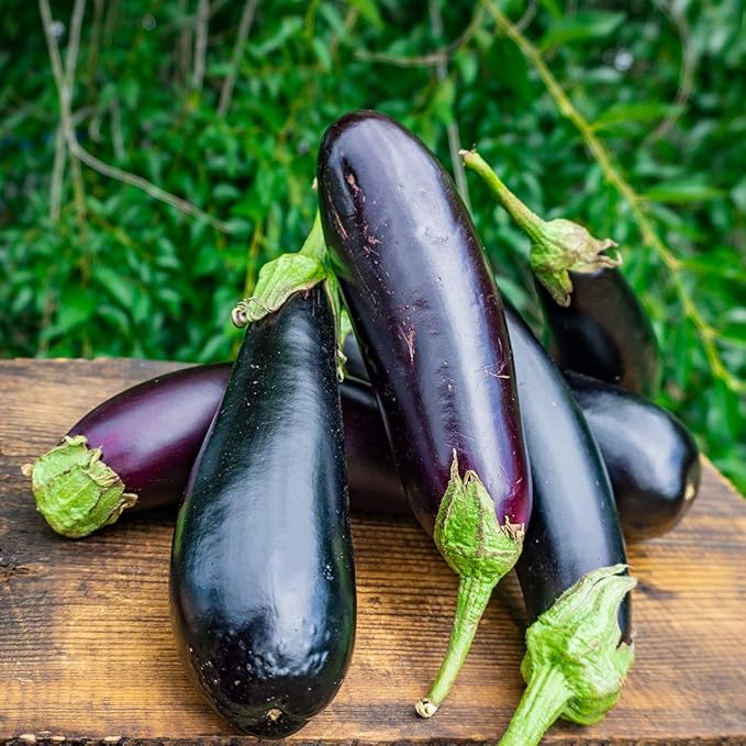 Seeds Eggplant Long Pop - Heirloom Vegetable - GMO Free