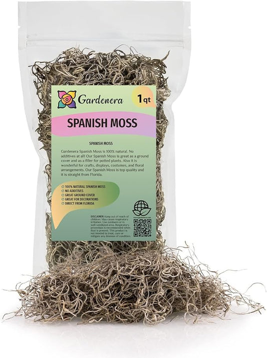 Premium Natural Spanish Moss | Natural Preserved - Great Ground Cover - Filler for Potted Plants - by GARDENERA - 1 Quart Bag