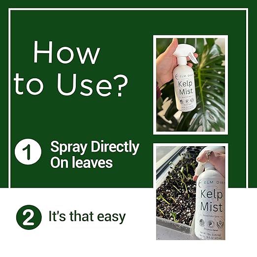 Elm Dirt Kelp Mist 100% Organic Plant Spray - Foliar Spray for Plants Food Indoor House Plants & Outdoor Plant food | Help Plant Nutrients Efficiently & Boost Soil Activity - Kelp Foliar Spray (16 oz)