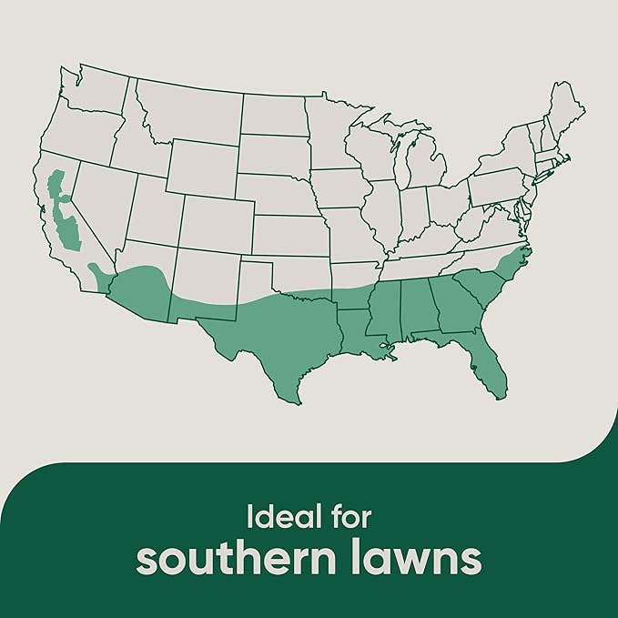 Scotts Pursue Dichondra with Natural Seed, Seeding for Decorative Areas, 1.5 lbs.