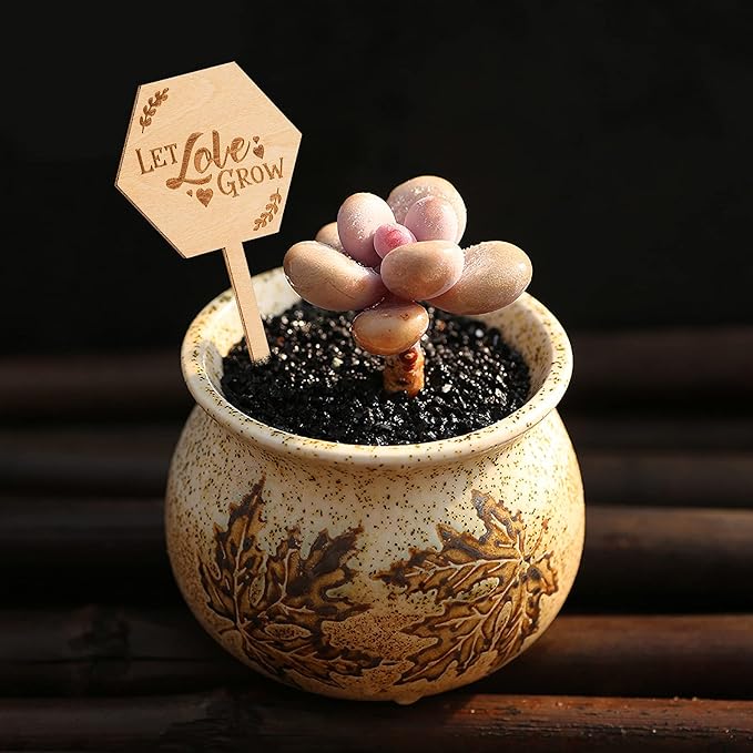Let Love Grow Succulent Tags Wedding Favors, PARBEE 40PCS Hexagon Plant Sticks Wooden Stake Signs for Wedding Bridal Shower Baby Shower Anniversary Succulent Party Favors