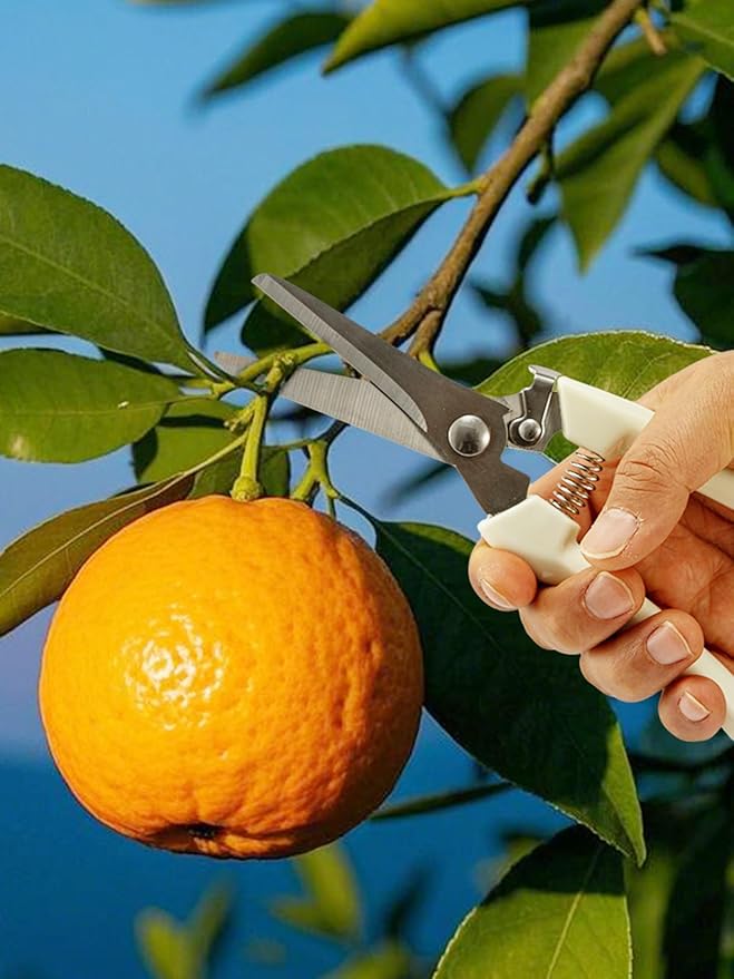 GROWNEER Pruning Shears 2PCS Stainless Sharp Garden shears with 6PCS 1/4 inches Clear Floral Tape Bypass Straight Gardening Clippers for Plants Planters Fruits Trees Fresh Flowers