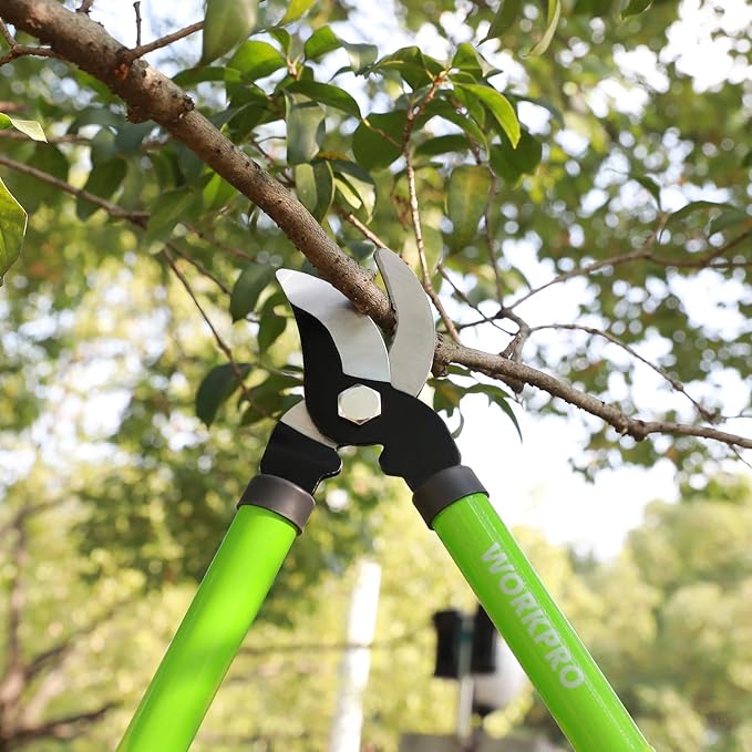 WORKPRO W151010 Limb and Branch Pruner Tool Set, Heat-Treated Steel (1 Set)