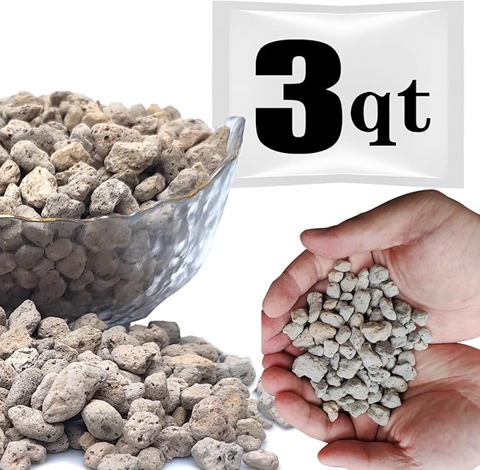 Horticultural Pumice for Plants Professional Sifted (3 QT, 3/8 inch)