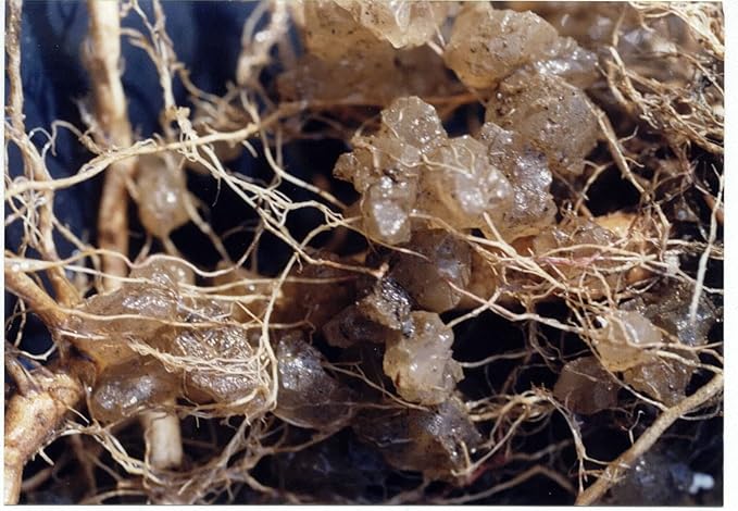 JRM Chemical 8LB Soil Moist Granular 1000-2000 Microns Water Storing Soil Additive (100507377)