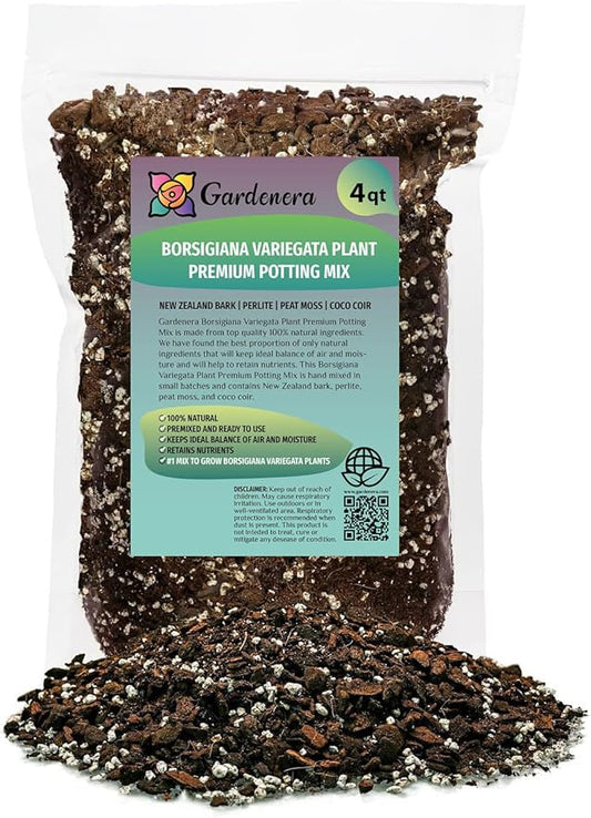 Monstera Borsigiana Soil Blend - Designed to Meet The Unique Needs of Your Plant - 4 Quart