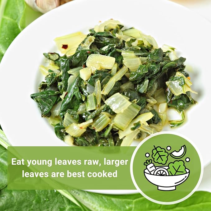 Sow Right Seeds - Fordhook Swiss Chard Seed for Planting - Non-GMO Heirloom Packet with Instructions to Plant and Grow an Outdoor Home Vegetable Garden - Nutritious, Flavorful - Great Gift (1)