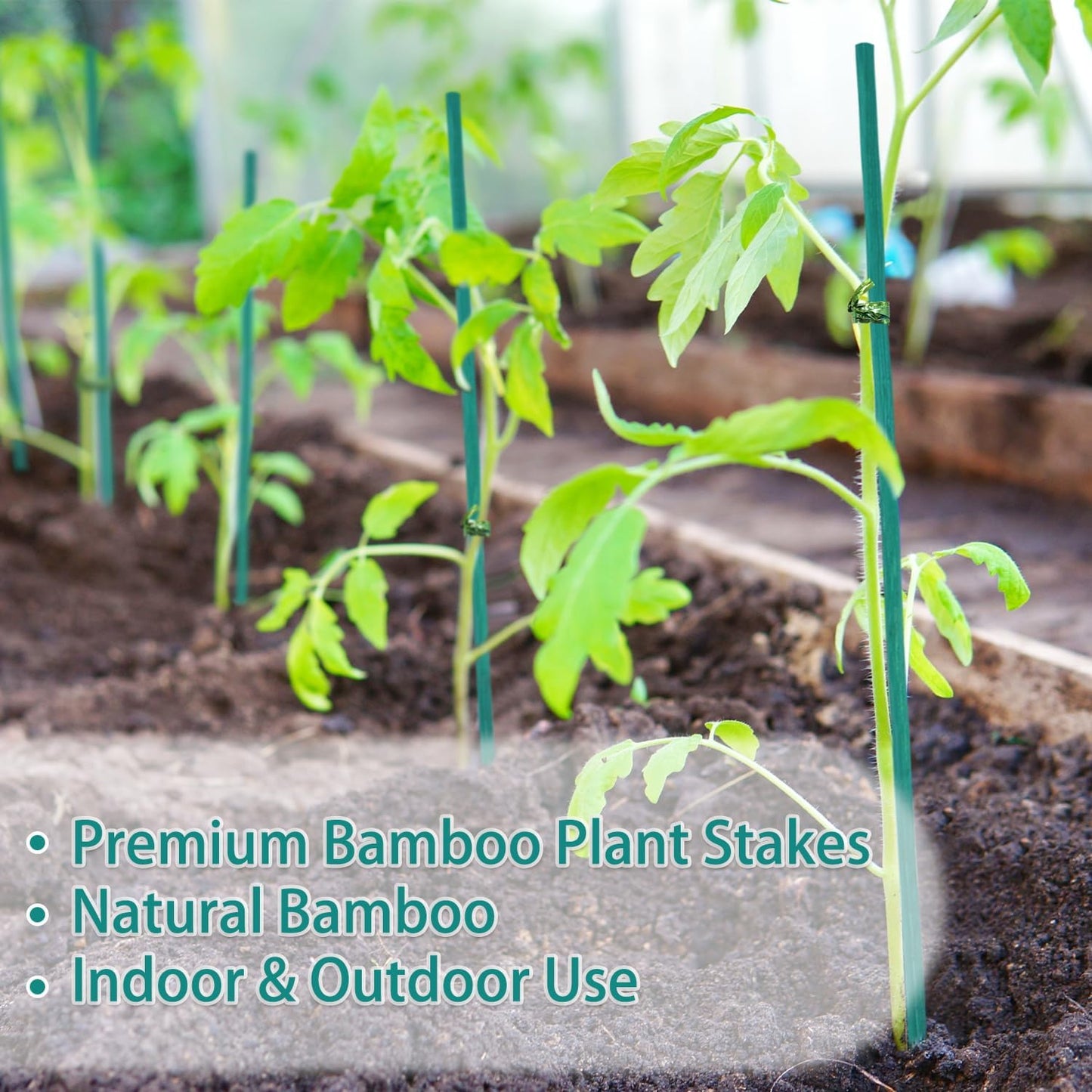 Bamboo Plant Stakes 50PCS, 18Inch Natural Bamboo Stakes Garden Stakes, HAINANSTRY Plant Sticks Support for Indoor and Outdoor Plants, Stakes for Gardening, Orchid Tomato Vegetable Stakes for Garden