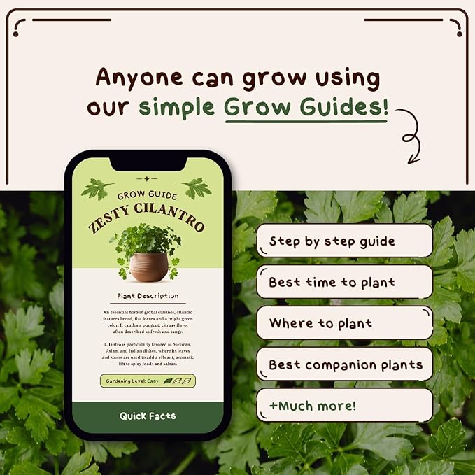 Organic Cilantro 'Slow Bolt' Herb Seeds for Indoor Gardening or Planting Outdoors, Non-GMO and USDA Certified Herb Seed Packets, 350 Seeds/5 Grams (Cilantro)