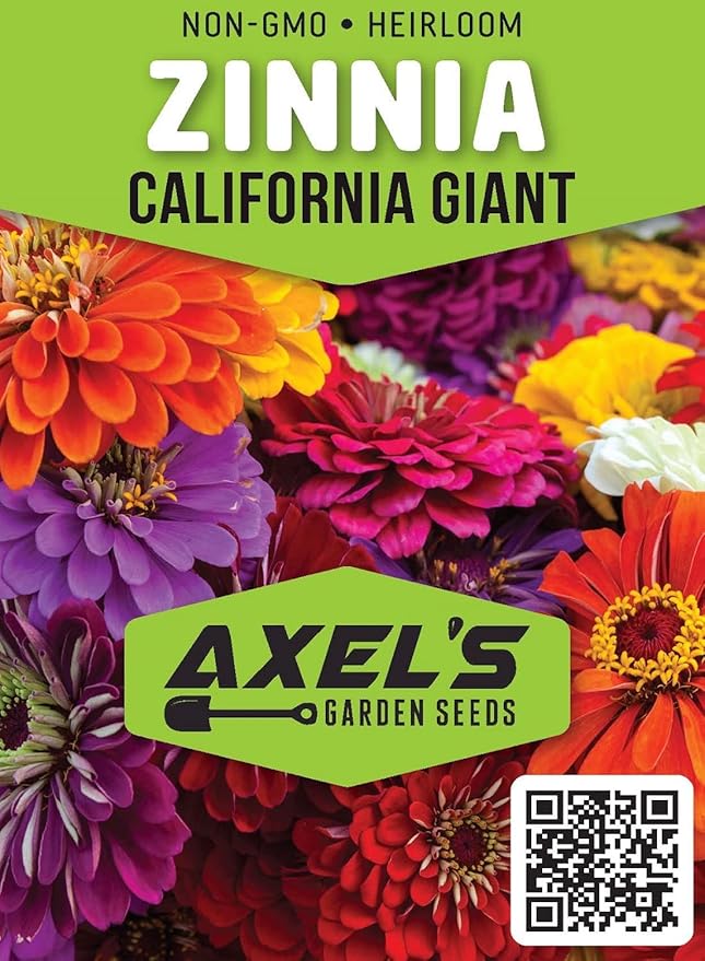 Zinnia Seeds for Planting – Non-GMO Heirloom Zinnia Flower Seeds – Full Instruction Packets to Plant in Your Home Outdoor Garden – Gardening Gift – 50 California Giant Zinnia Seeds (2 Packets)