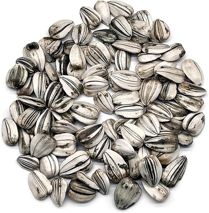 The Old Farmer's Almanac Sunflower Seeds (Mammoth Gray Stripe) - Approx 80 Flower Seeds - Premium Non-GMO, Open Pollinated, USA Origin