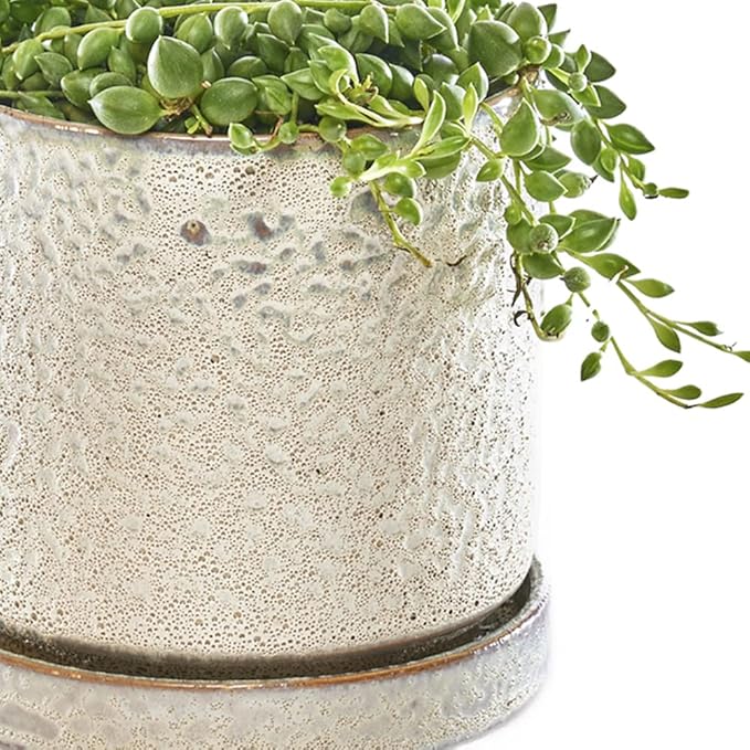 CHIVE ‘Minute’ Ceramic Planter Pot — Cute 5” Colorful Succulent Pots for Indoor & Outdoor House Plants — Beautiful Modern Farmhouse Kitchen Decor — Ivory Speckle