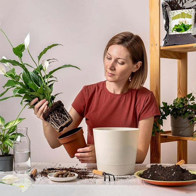 Organic Peace Lily Soil Mix 2qt, Indoor Plants Potting Mix for Planting, Growing, or Repotting Peace Lily Plants, Grow Healthy houseplants Indoors