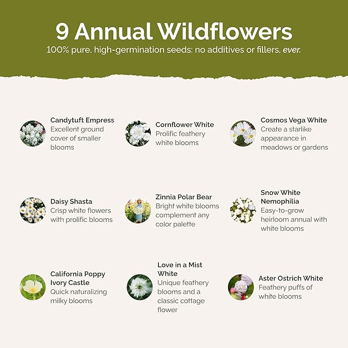 Eden Brothers Cloud 9 Flower Mixed Seeds for Planting, 1 lb, 480,000+ Seeds with White Candytuft, Cosmos Purity | Attracts Pollinators, Plant in Spring or Fall, Zones 3, 4, 5, 6, 7, 8, 9, 10