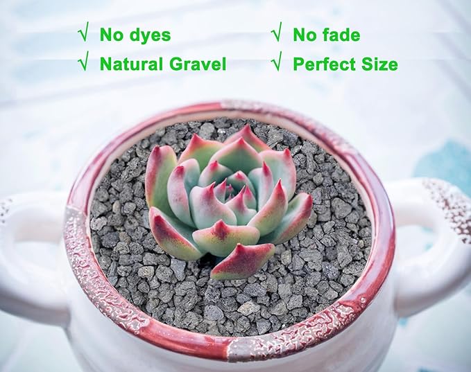 2.4lb Black Horticultural Lava Rock Soil Additive for Cacti, Vase Fillers, Succulents and Terrarium Plants - No Dyes or Chemicals - 100% Pure Volcanic Rock