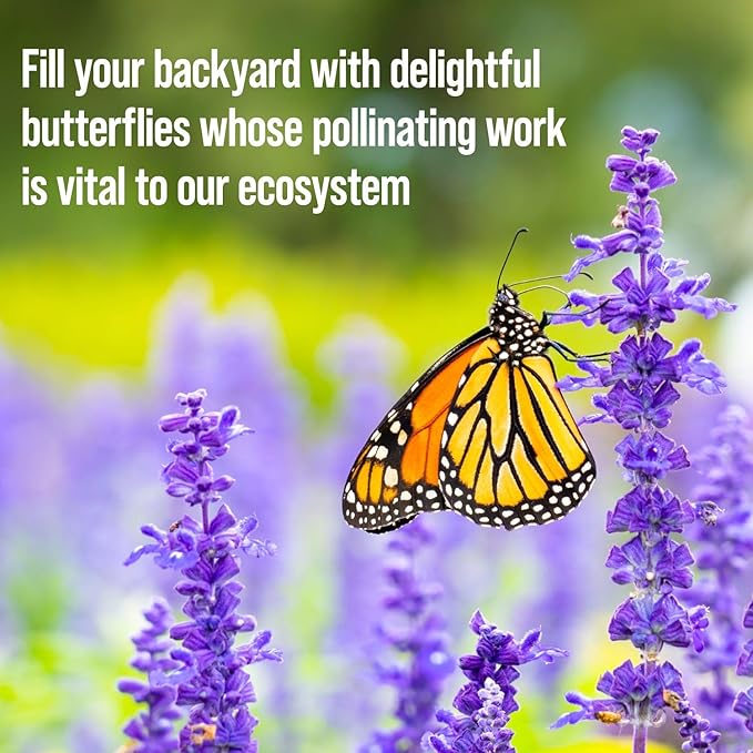 Butterfly Garden Kit with Grow Rings, Greenhouse Germination Domes, Seeds, Markers, Instructions – Gardening Gift for Mom, Teachers, Women, and Men – Made in USA